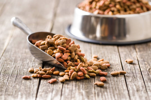 Josera Tiernahrung im Überblick: Hochwertige Ernährung für Hunde und Katzen